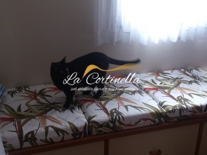 Capa e almofadas